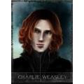 my dragon! (charlie weasley love story)