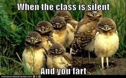 http://i.quotev.com/img/q/u/12/08/25/funny-animal-captions-animal-capshunz-that-super-awkward-mom.jpg