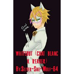 The Fall Of Demise | Whiteout (Chat Blanc X Reader) | Quotev