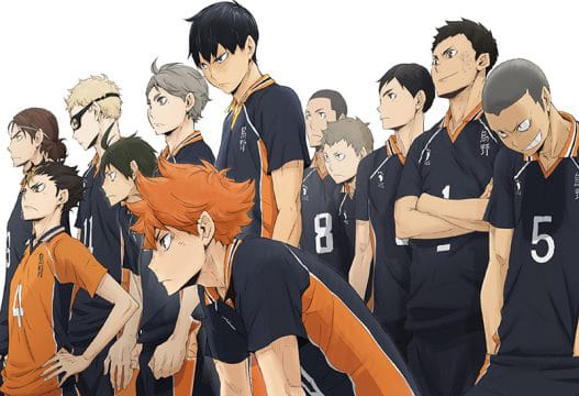 Which Karasuno Boy would have a crush on you? - Quiz | Quotev