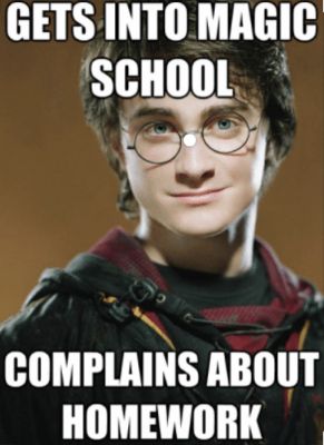 HARRY POTTER MEMES #6 