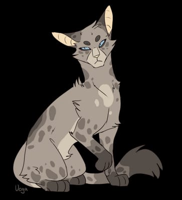 Ashfur!, Warrior Cats Got Talent!