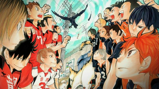 Are You The Perfect Volleyball For Haikyuu Quiz Quotev