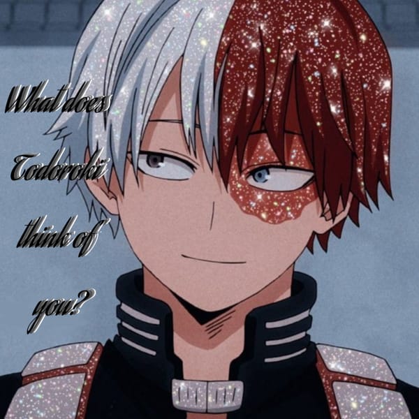 What does Todoroki think of you? Quiz Quotev