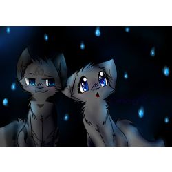 Jayfeather lover 