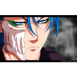 Bleach (Male Hollow Reader) - (Y/N)'s Fraccion Info - Wattpad