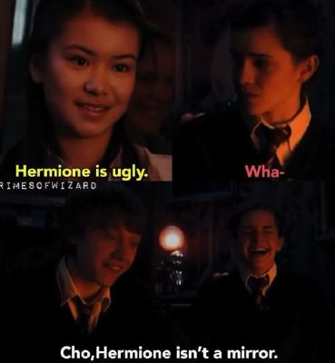 Harry Potter Memes™ on X: Hermione Granger  / X