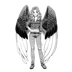 Maximum Ride Quiz (boy) - Survey | Quotev