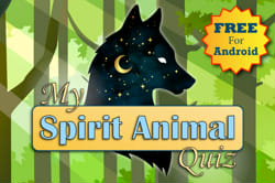 What Is Your Spirit Animal Quizzes | Quotev