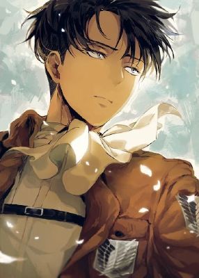 Father!Levi Ackerman X Mother!Reader [2] - Try | 1 2 3 (Anime One Shots) |  Quotev