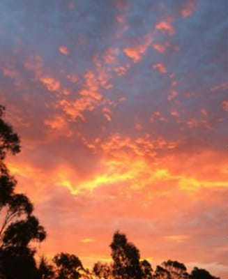 Harry potter house - Quiz | Quotev