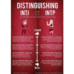 Akuto Sai MBTI Personality Type: INTP or INTJ?