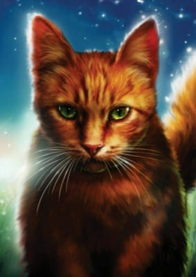Warrior or Medicine Cat? - Quiz | Quotev