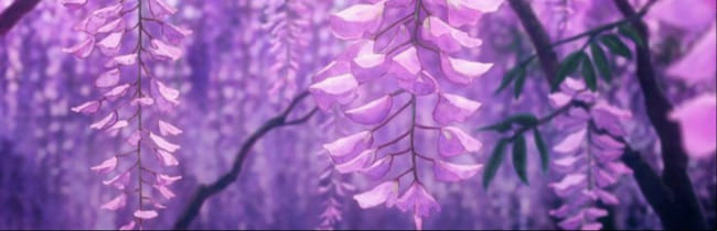 WiSTERiA on X: Discord user : Reze. #8279 Roblox : MDxWisteria  (Wisteria_Bloom)  / X