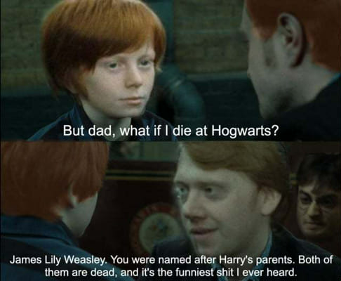 Harry Potter Memes pt1