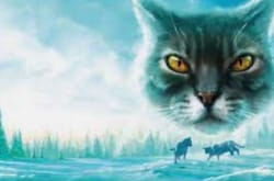 Warrior Cats Test Test Quotev
