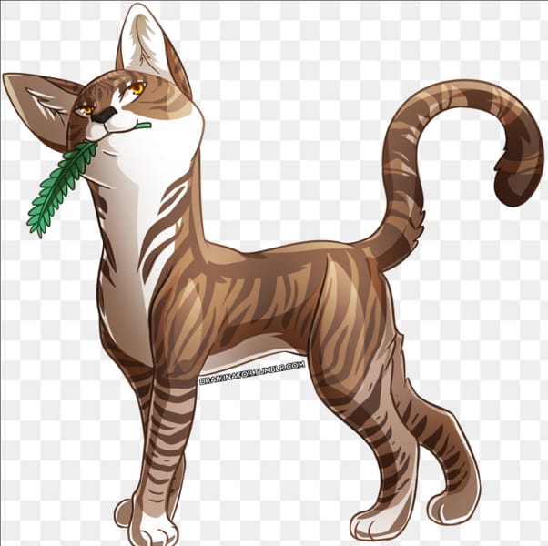 Warrior cat quiz Test Quotev