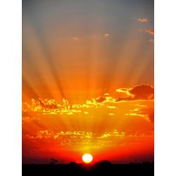 What type of sunrise are you? - Quiz | Quotev