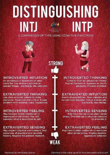 Nabnab MBTI Personality Type: INTJ or INTP?