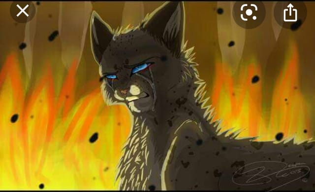 Ashfur: Did StarClan Make a Mistake?