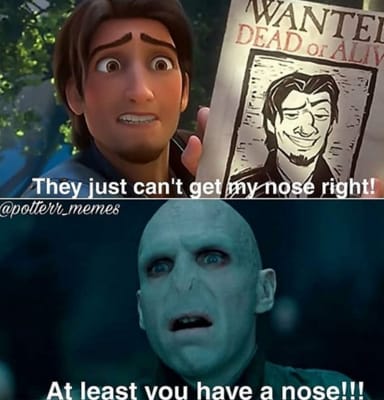 Image result for voldemort memes nose