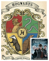 Which Harry Potter Villain Is Your Friend? - Quiz Quotev