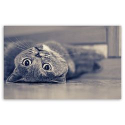 Are you lazy? - Quiz | Quotev