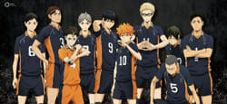 Haikyuu: Karasuno Volleyball Team Quiz