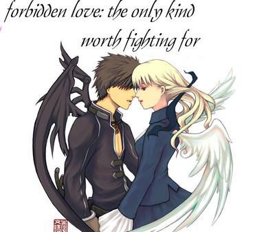 Forbidden Love, An angel and demon fall in love with each o…