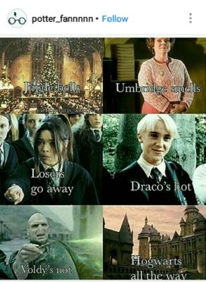 Harry Potter Memes  Try not to Smile 