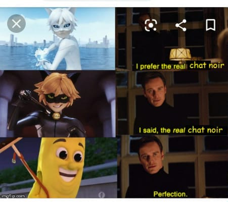 memes de miraculous ladybug on X:  / X