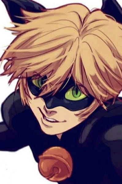 My Obsession | Yandere Chat Noir X Reader | Quotev