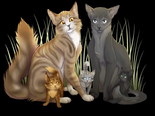 SilverStorm  Warrior cats name generator, Warrior cats, Warrior