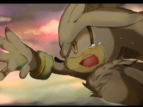 Sonic, Shadow, Silver X Reader (One Shots)