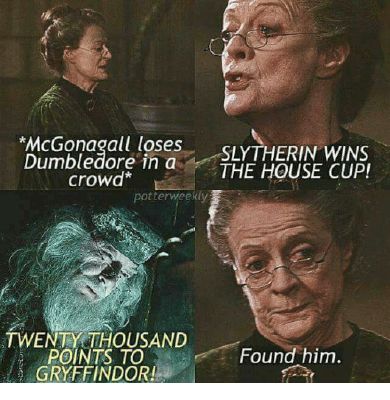 I love HP memes! 😂😁