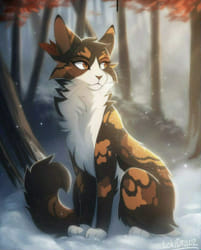 Your warrior cat *she cats* - Quiz | Quotev