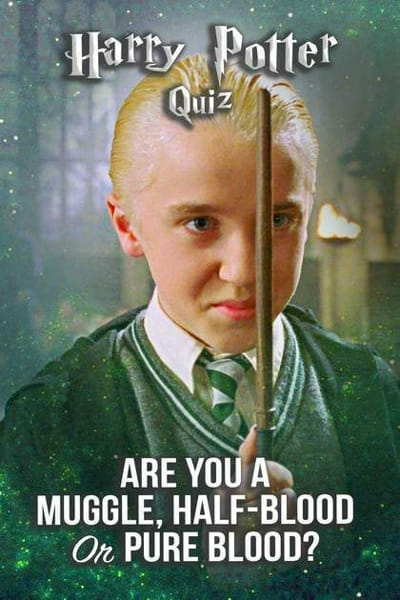 Harry Potter Blood Status - Quiz | Quotev