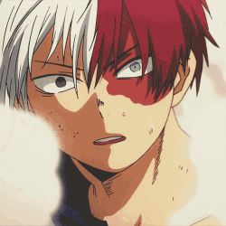 Dates with Shoto Todoroki - Test | Quotev