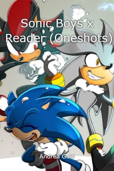 Shadow x reader (Sonic boom) Oneshot - Shadow x reader one-shot