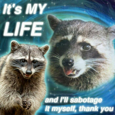 Pick some aesthetic raccoon pictures and get a MHA lover - Quiz | Quotev