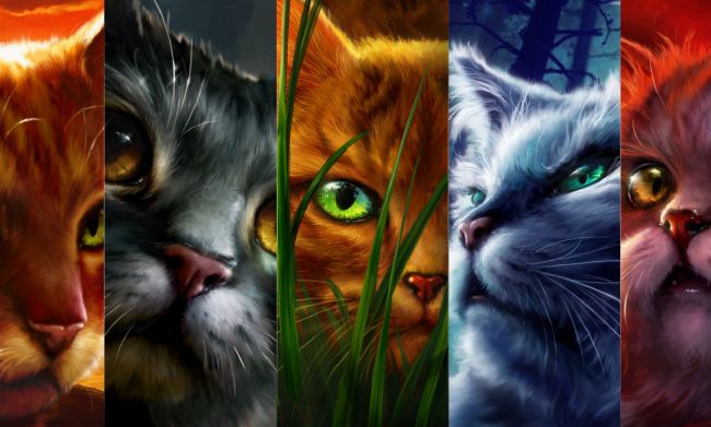 Warrior Cats: Choose Your Clan (Book)