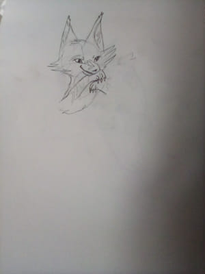 Guess the warrior cat by my (terrible?) sketches - Test | Quotev