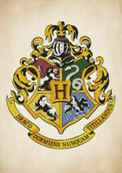 What is your Hogwarts house? - Quiz | Quotev