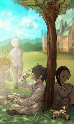 The Promised Neverland on X: Ray - The only one at the Grace Field House,  who is as intelligent and can measure up to Norman.   / X