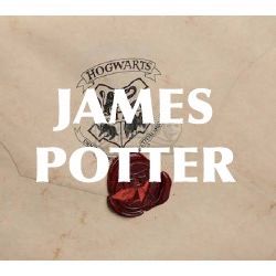 Write a Letter to James Potter - Quiz | Quotev