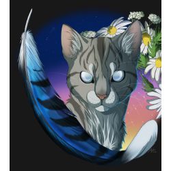 Jayfeather Bio (warrior cats)