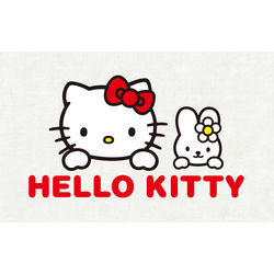BACKROOMS LEVEL 974 MR.KITTY  Hello kitty, Cute drawings, Sketch book