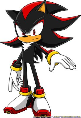 Sonic: Shadow The Hedgehog X Female Human Reader