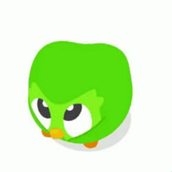 what does duolingo think of u? - Quiz | Quotev