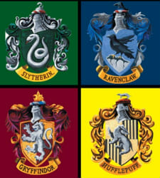 What Harry Potter House are you? - Quiz | Quotev